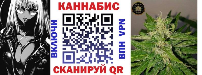 Купить закладки  Каргополь  Конопля гибрид 